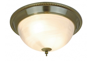 Светильник настенно-потолочный Arte Lamp A1305PL-2AB