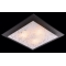 Светильник настенно-потолочный Eurosvet 2761/3 темный